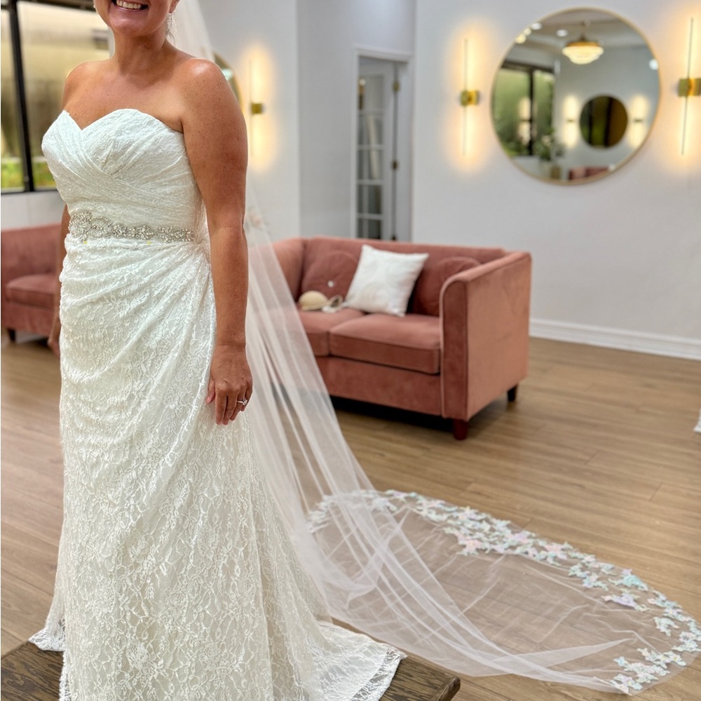 Elegant White Lace Wedding Veil